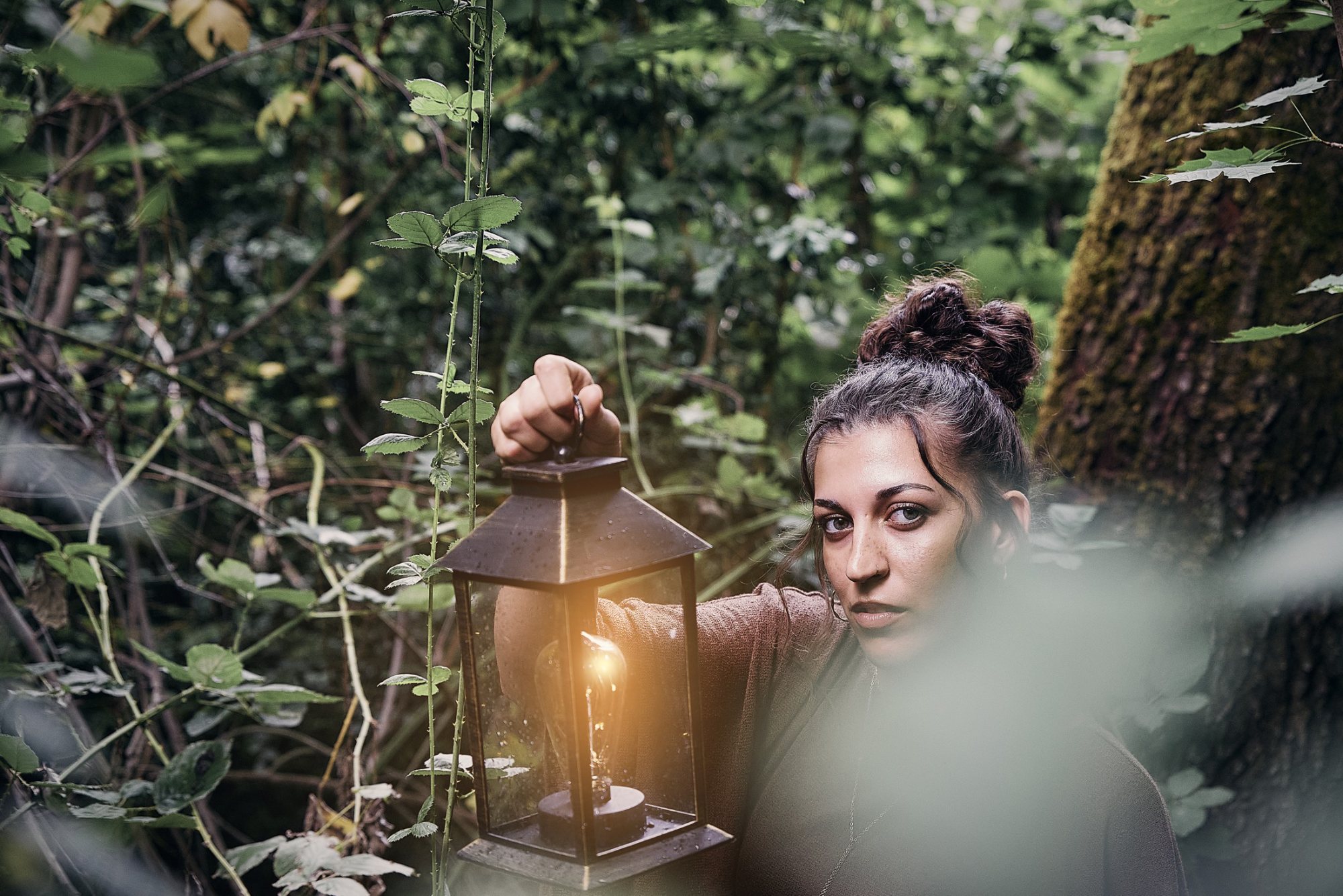 Portraits – Laterne Wald